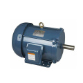 Motor NEMA Premium Efficiency 1HP a 10HP